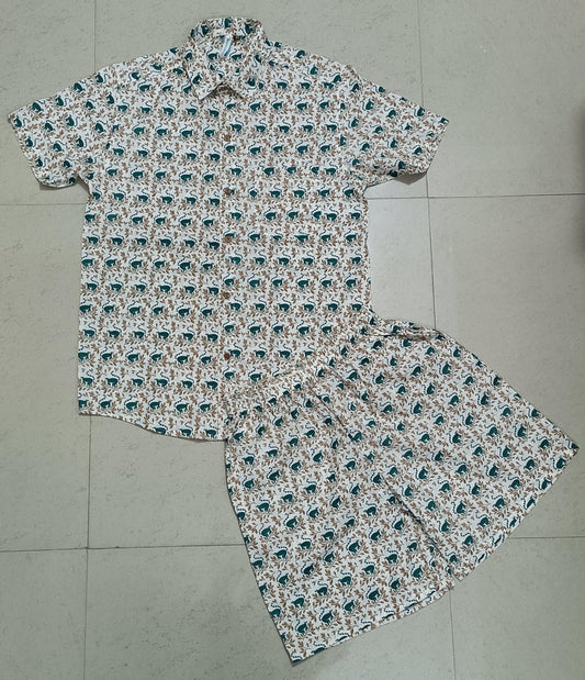 Men Multi Color Monkey Print Co-ord Set
