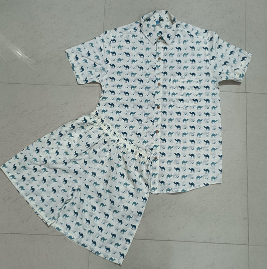 Men Multi Color Camel Print Co-Ord Set