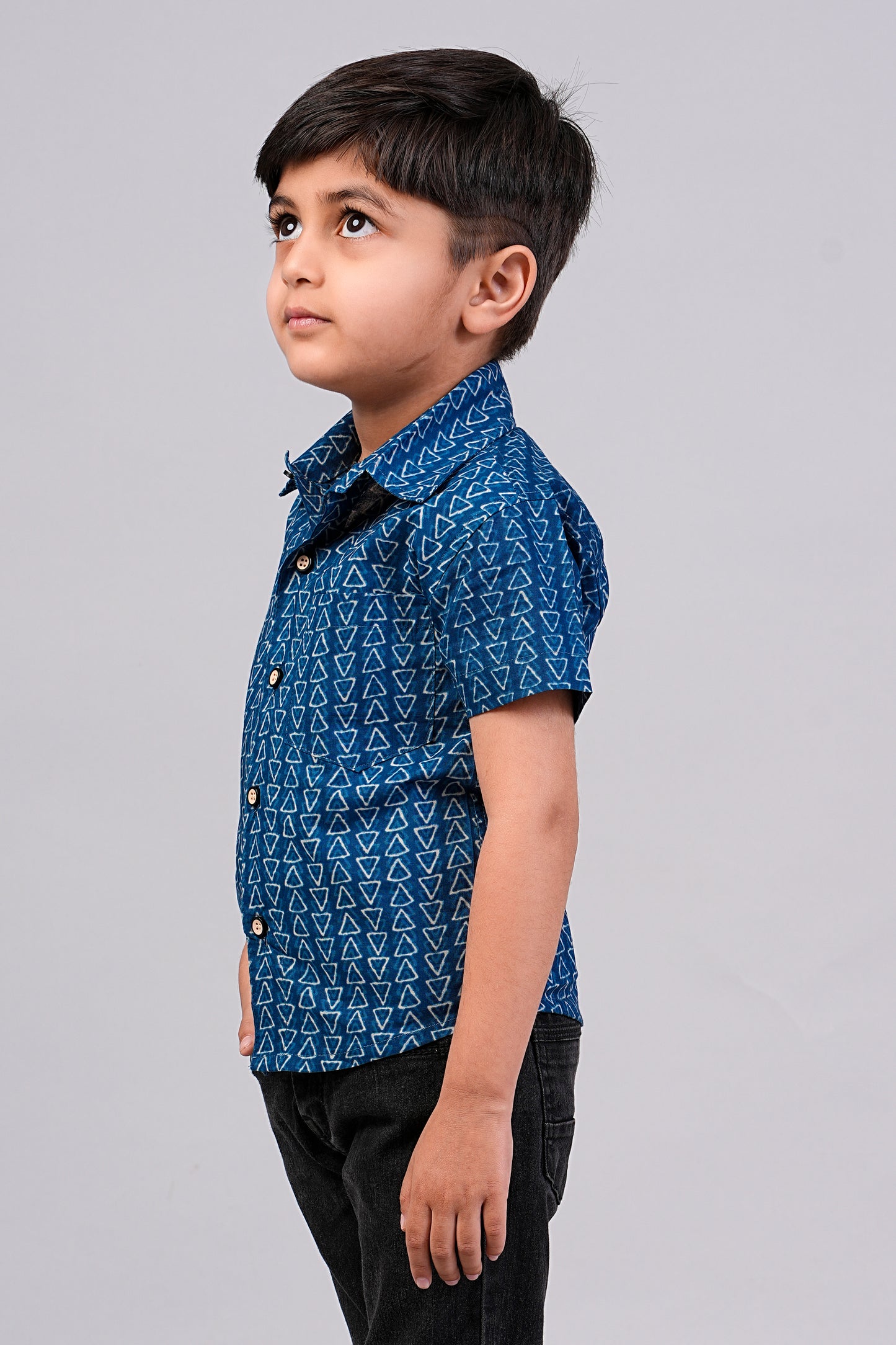 Boy's Indigo Printed Half-Sleeves Shirts