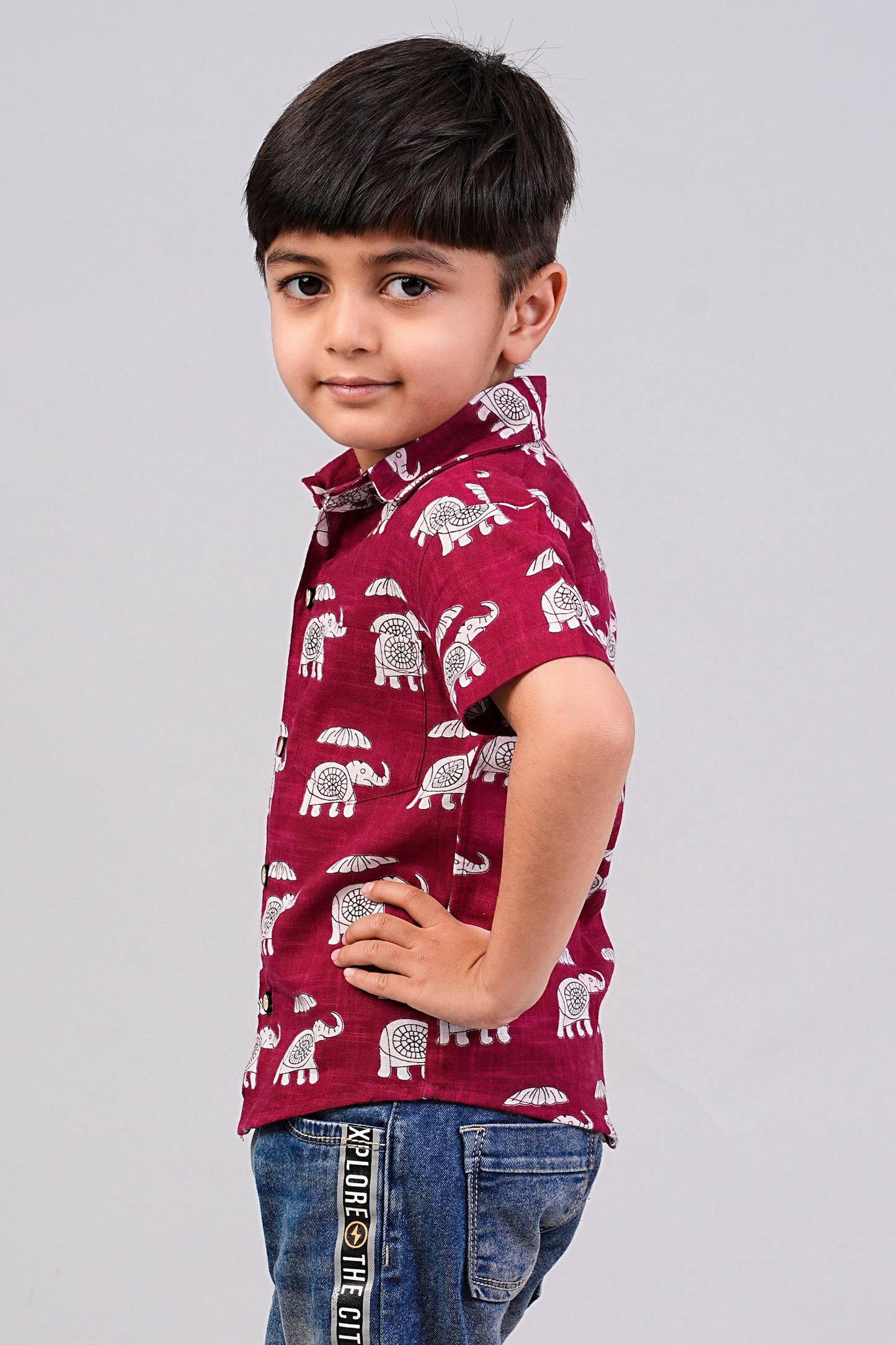 Boy's Red Elephant Printed Half-Sleeves Shirts