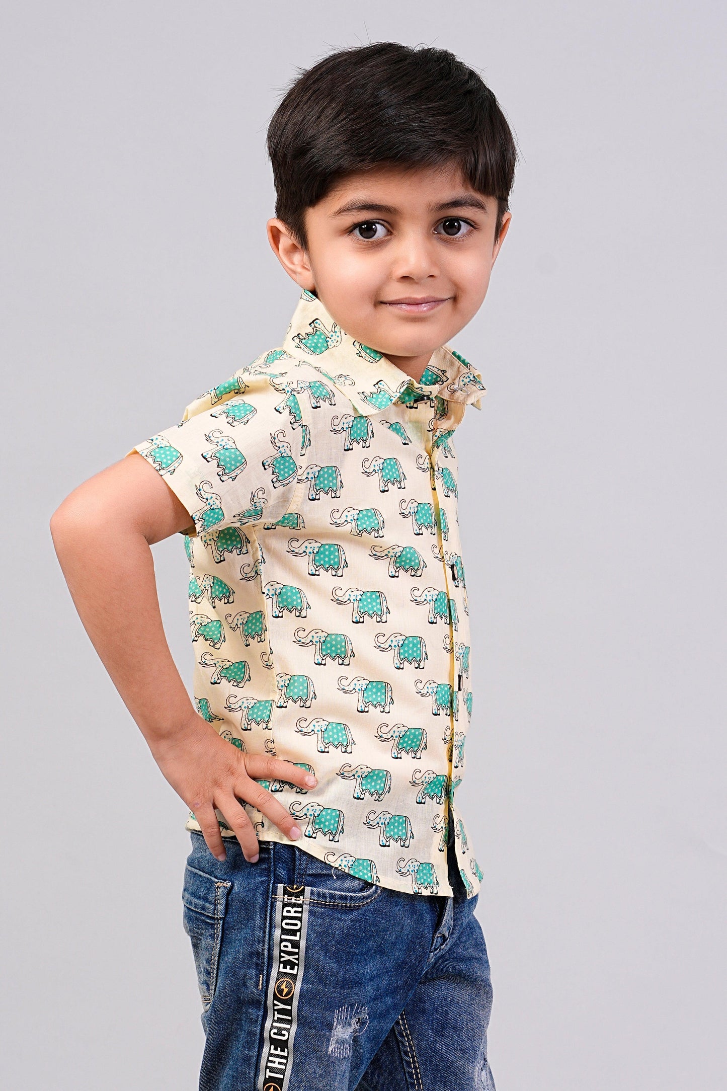 Boy's Ethnic Printed Half-Sleeves Shirts