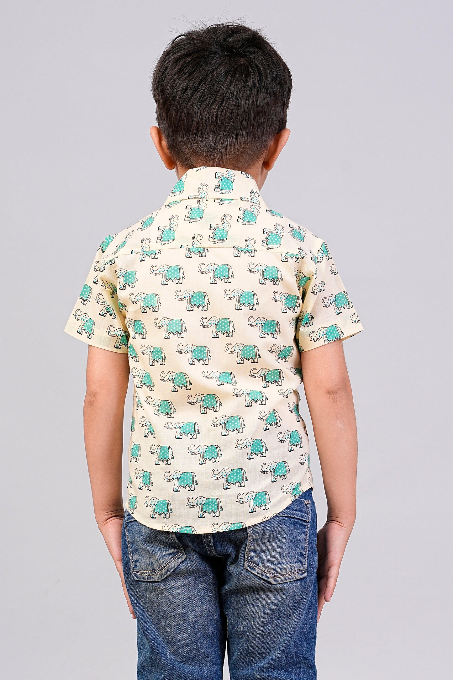 Boy's Ethnic Printed Half-Sleeves Shirts