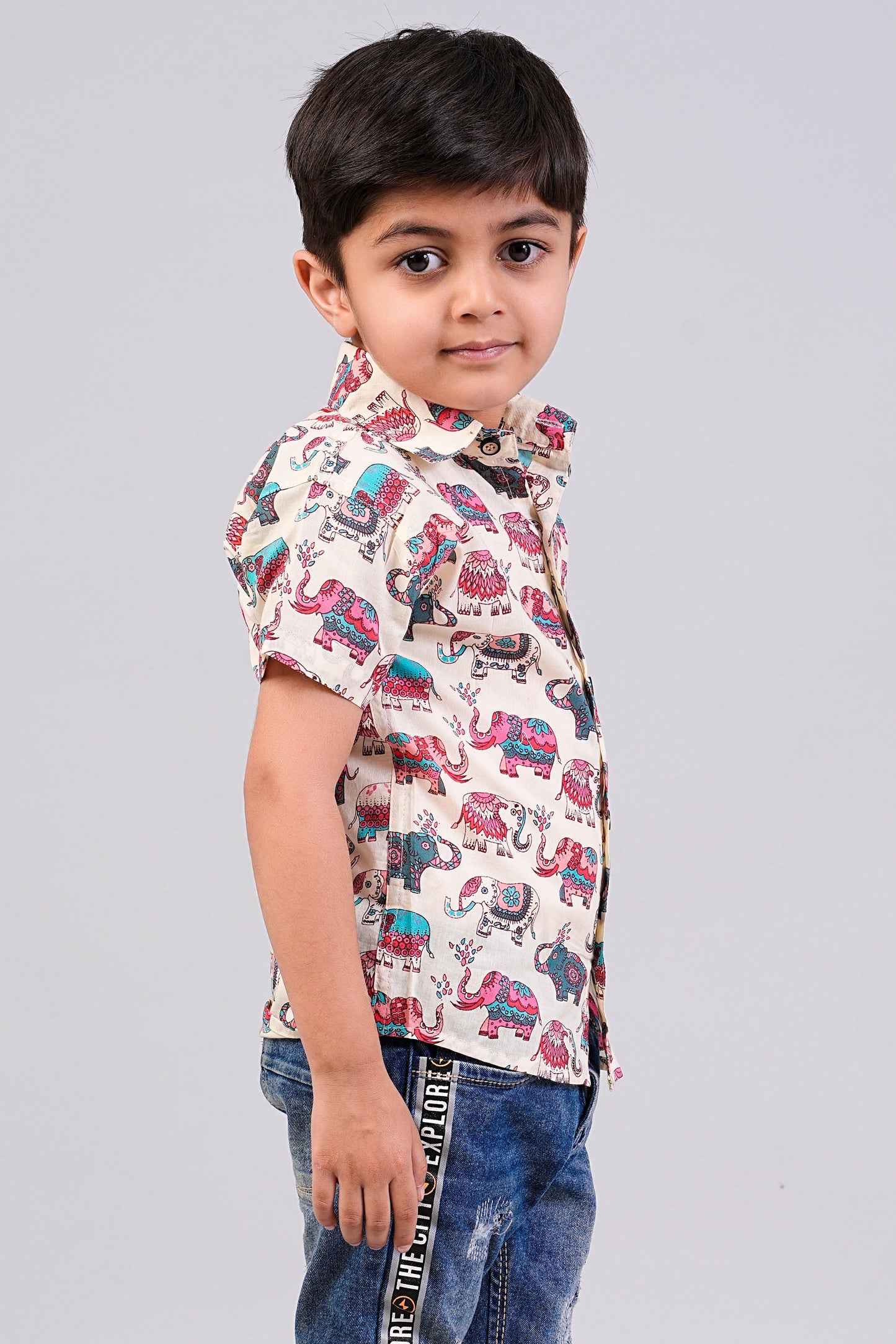 Boy's Multi Elephant Printed Half-Sleeves Shirts