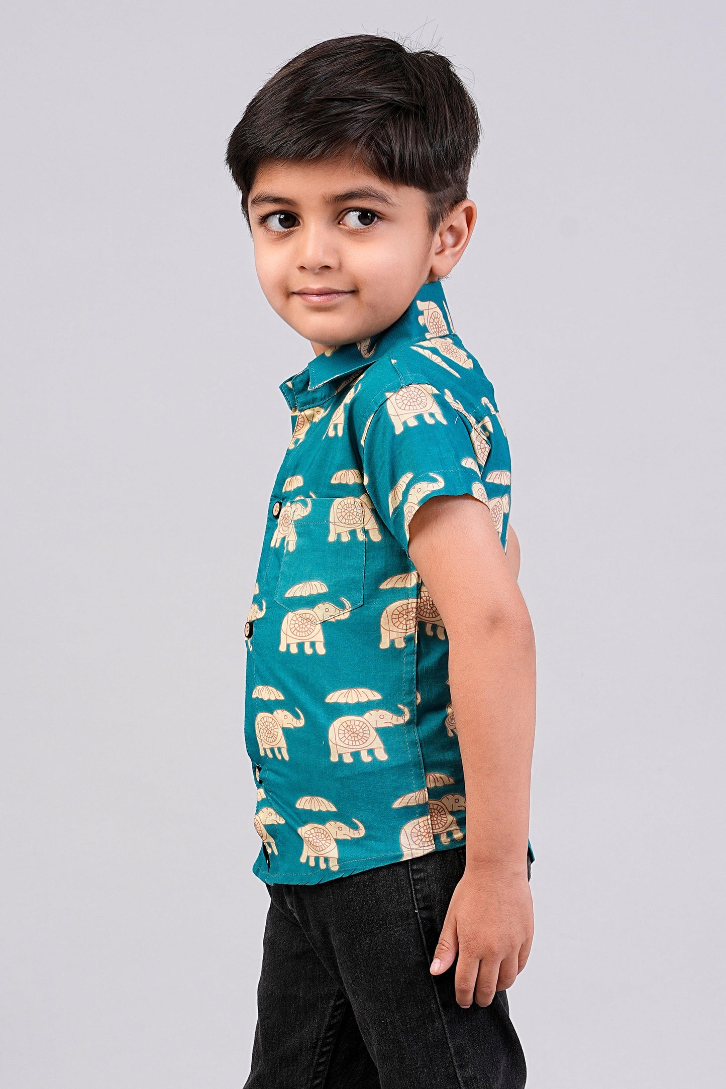 Boy's Elephant Printed Half-Sleeves Shirts