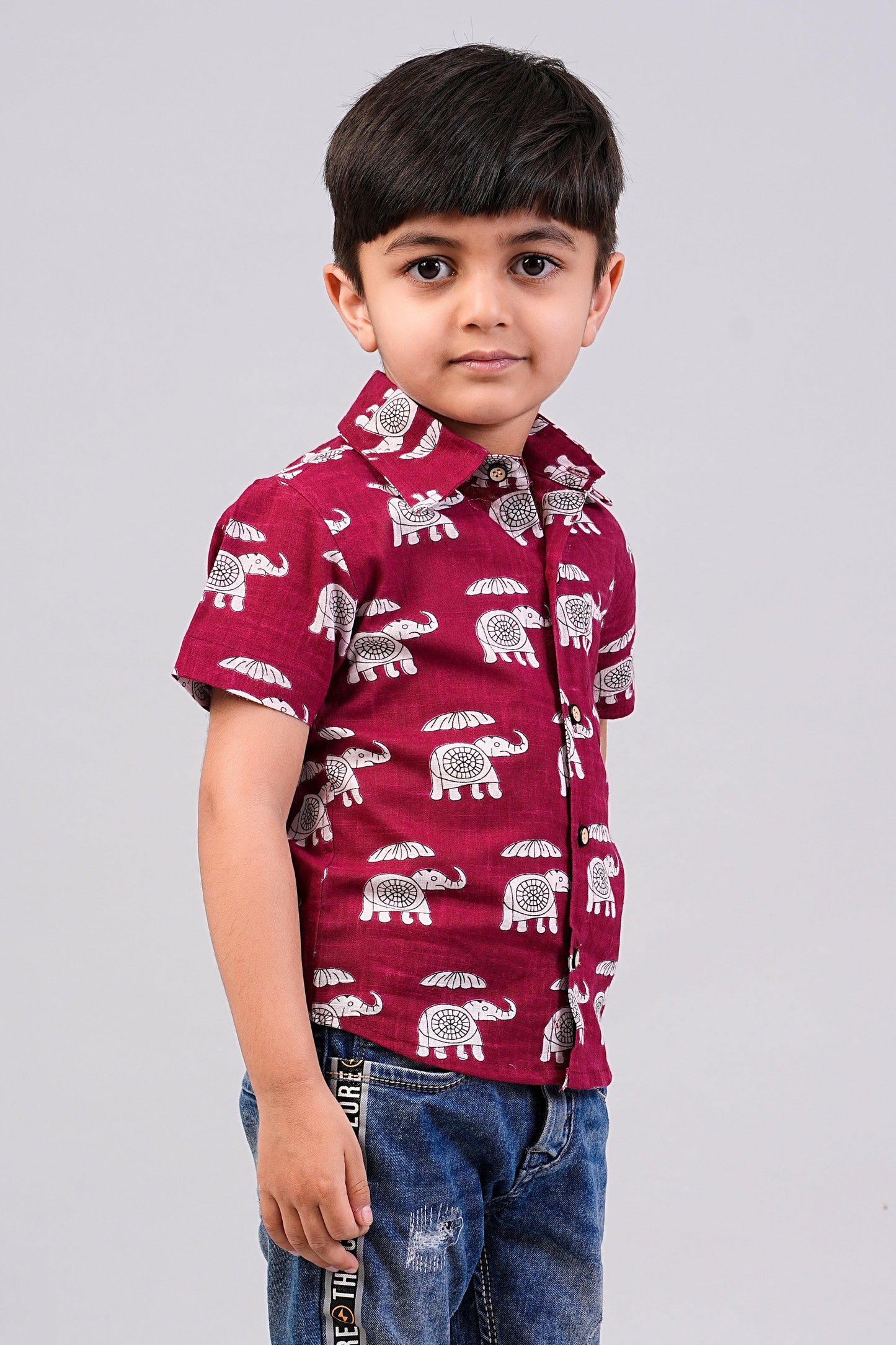 Boy's Red Elephant Printed Half-Sleeves Shirts