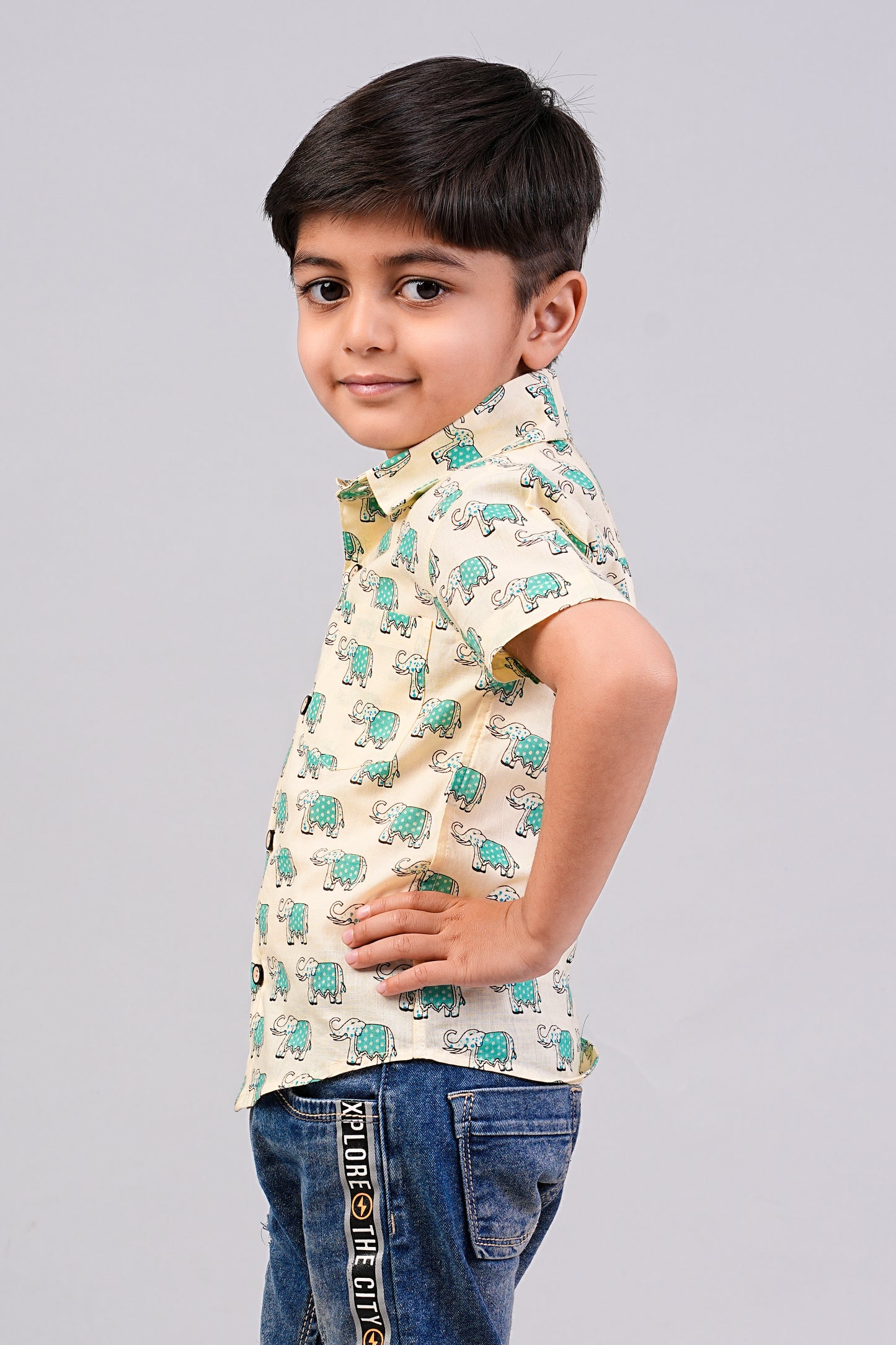 Boy's Ethnic Printed Half-Sleeves Shirts